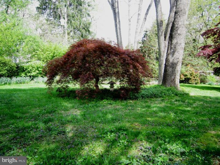 12 Byre Lane Wallingford, PA 19086 - Photo 24 of 24 View
