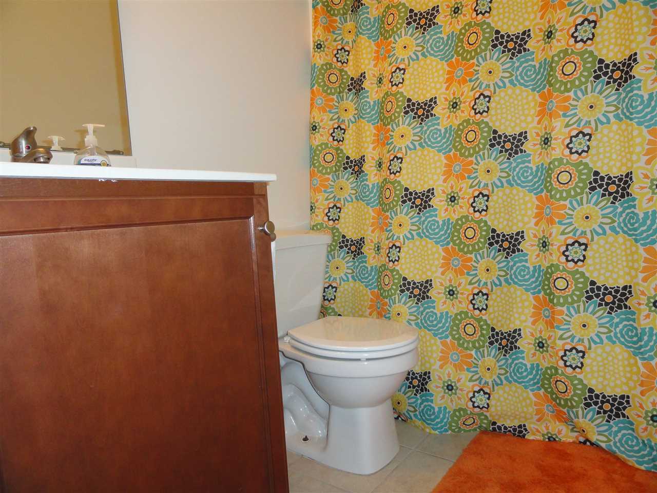 123 Blueberry Fields Road Maple Hill, NC 28454 - Photo 21 of 28 Additional Photo