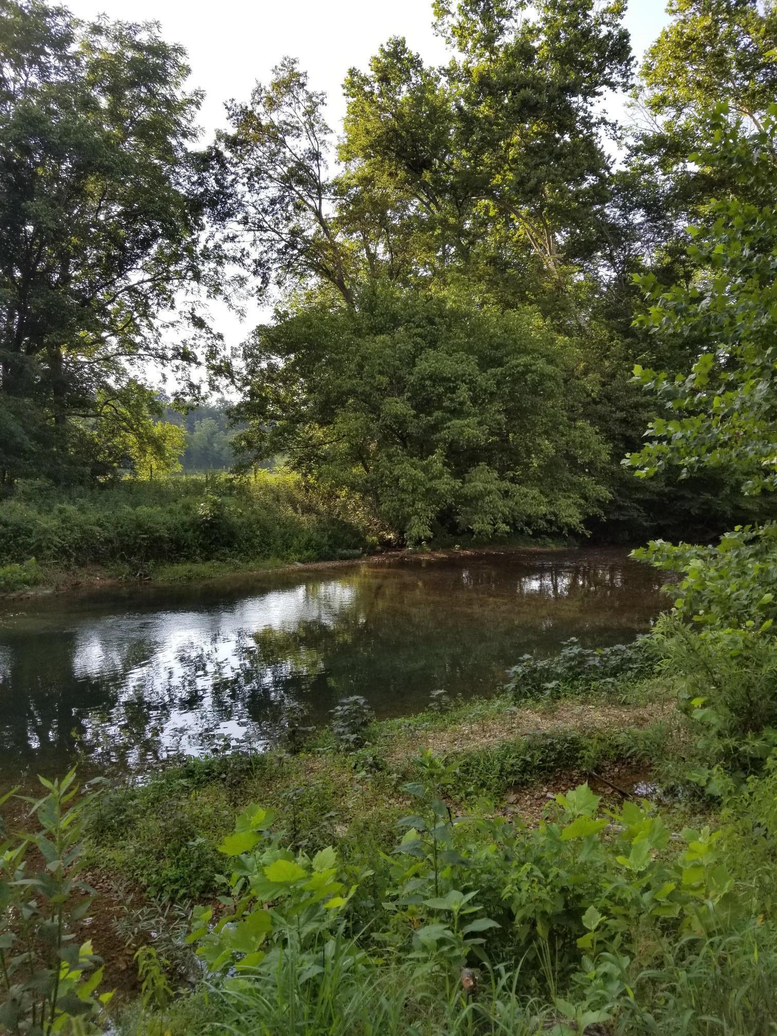117 Lawson Road Hohenwald, TN 38462 - Photo 4 of 17 Swan Creek Right
