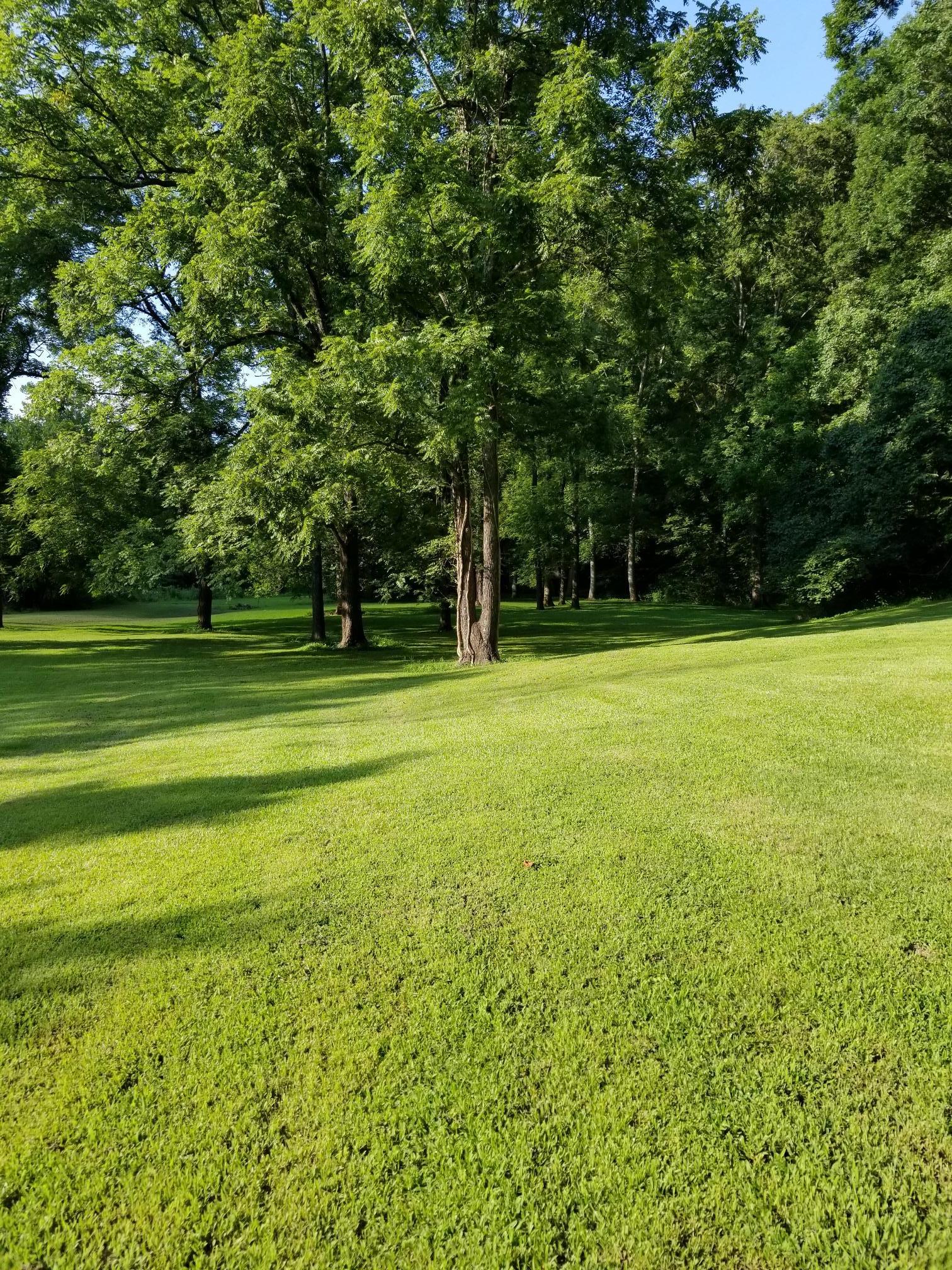 117 Lawson Road Hohenwald, TN 38462 - Photo 10 of 17 Gallery Image 10