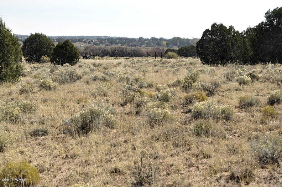 456 Woodridge Ranch Concho, AZ 85924 - Photo 11 of 12