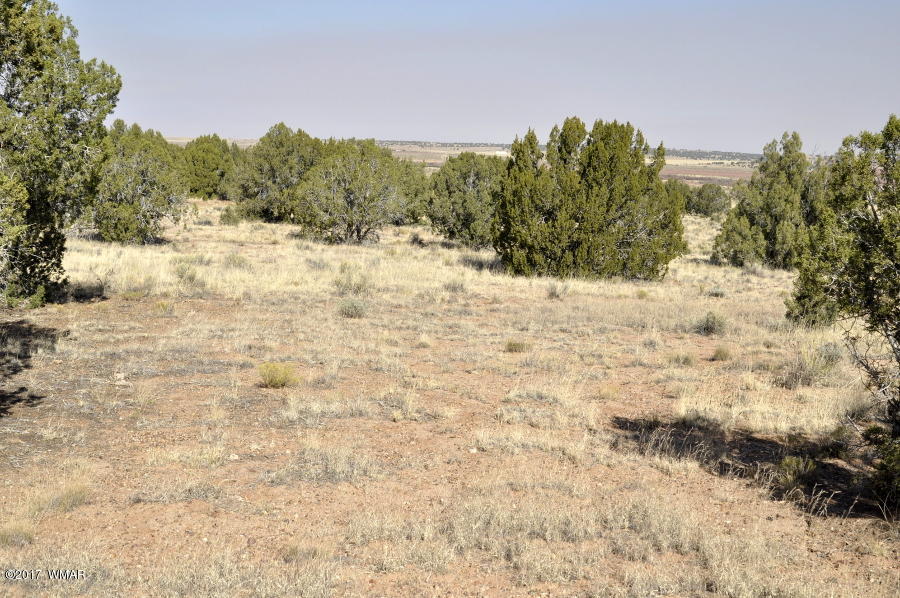 456 Woodridge Ranch Concho, AZ 85924 - Photo 3 of 12