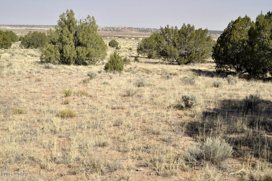 456 Woodridge Ranch Concho, AZ 85924 - Photo 4 of 12