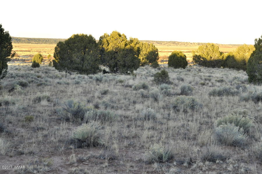 456 Woodridge Ranch Concho, AZ 85924 - Photo 7 of 12
