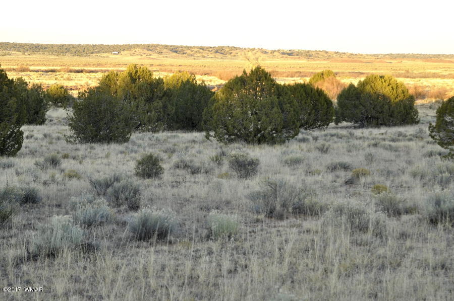 456 Woodridge Ranch Concho, AZ 85924 - Photo 9 of 12