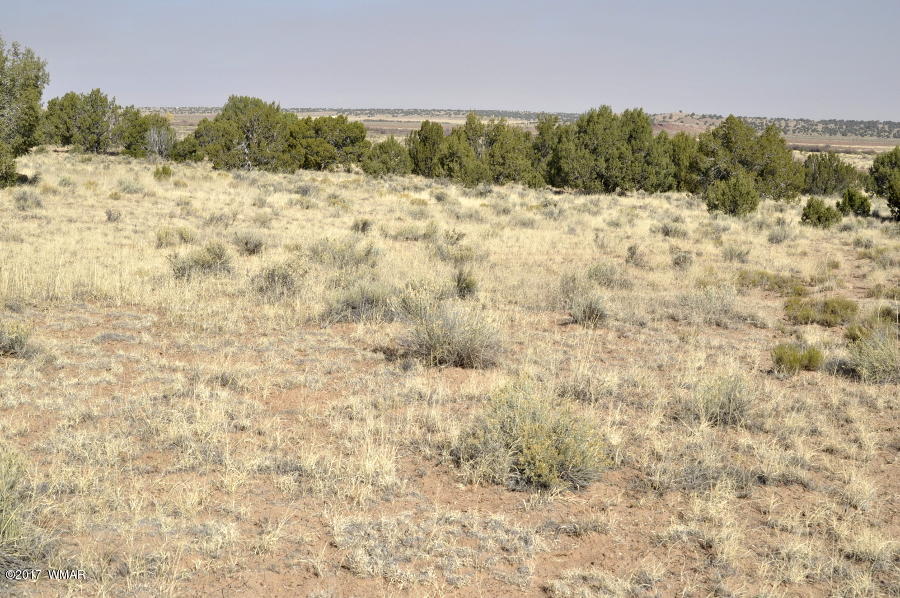 456 Woodridge Ranch Concho, AZ 85924 - Photo 10 of 12