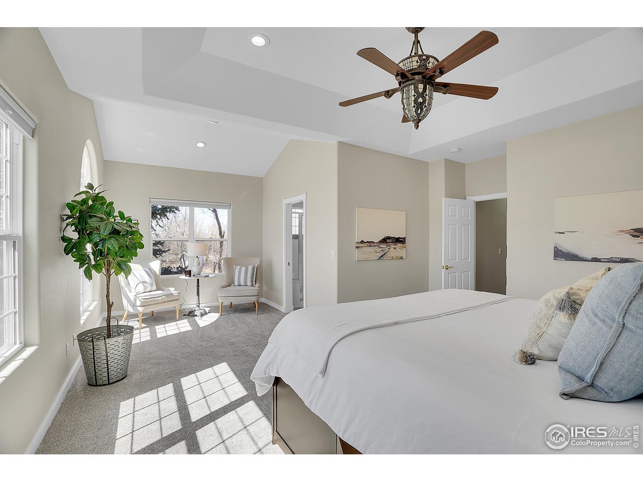 410 High Court Fort Collins, CO 80521 - Photo 12 of 37 a living room with furniture and potted plant