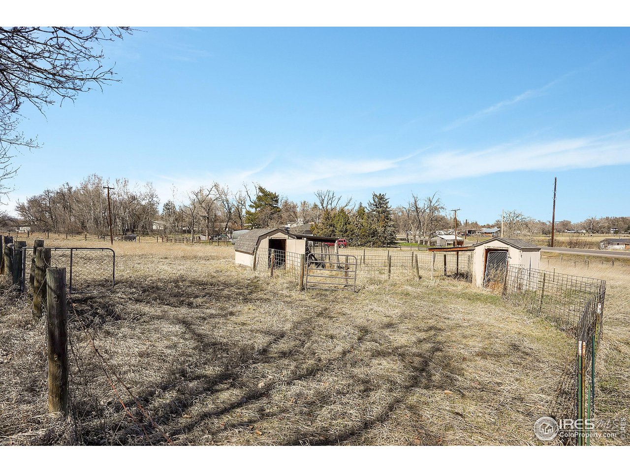 410 High Court Fort Collins, CO 80521 - Photo 35 of 37 a view of a dry yard with trees