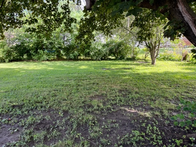 939 Lakeview Drive Rochelle, IL 61068 - Photo 17 of 19 a view of outdoor space with trees all around