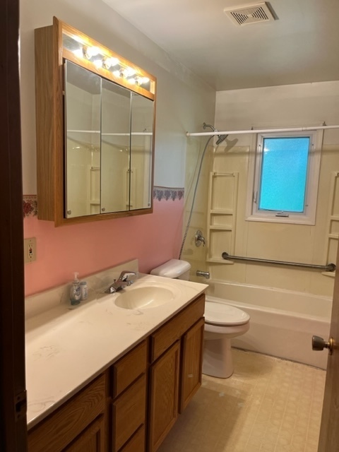 939 Lakeview Drive Rochelle, IL 61068 - Photo 8 of 19 a bathroom with a sink mirror toilet and bathtub