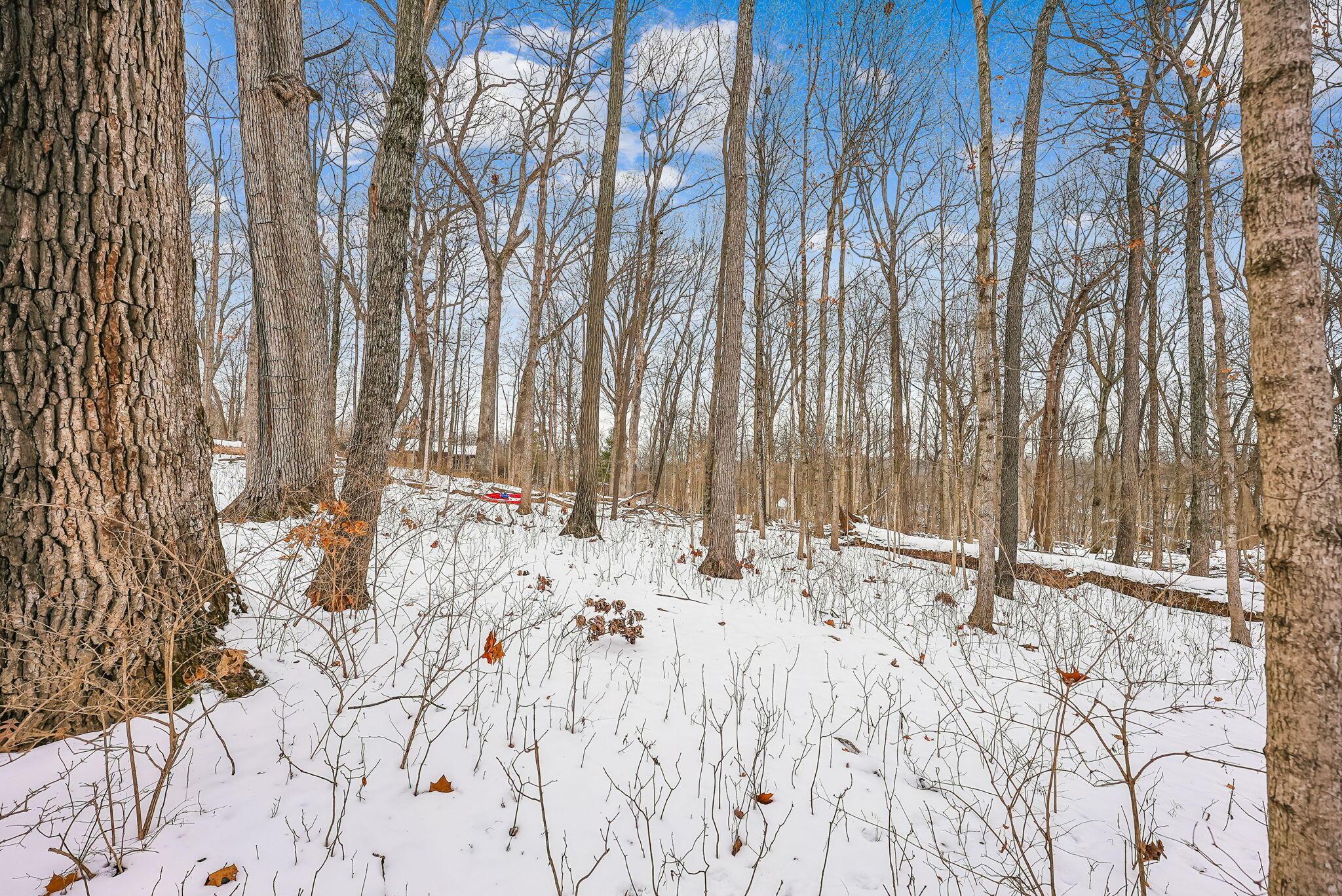 4800 Deer Run Road Dublin, OH 43017 - Photo 14 of 36 15-web-or-mls-4800-deer-run-rd
