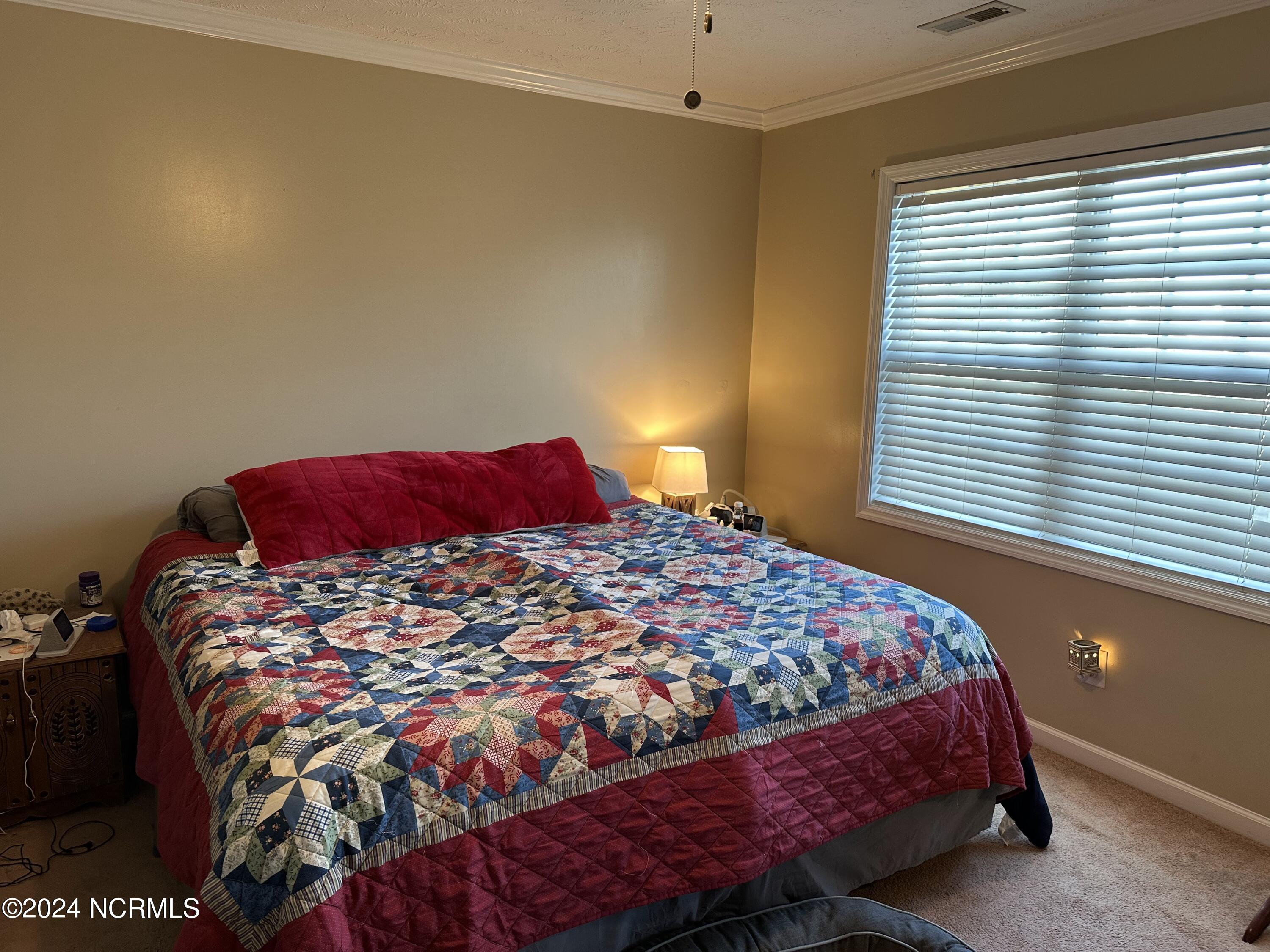 213 Rutherford Way Jacksonville, NC 28540 - Photo 57 of 85 IMG_1142