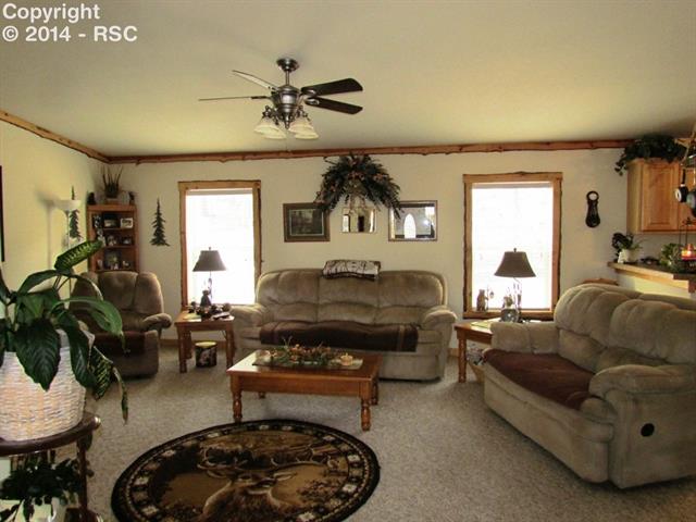 1673 Pulver Road Lake George, CO 80827 - Photo 2 of 24 Living Room