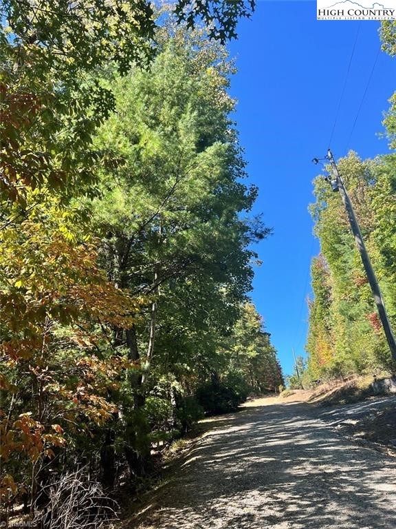 8 Laurel Road Purlear, NC 28665 - Photo 3 of 3