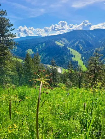 $885,000 | 929 Mt Idaho Grade Road, Grangeville, ID 83530