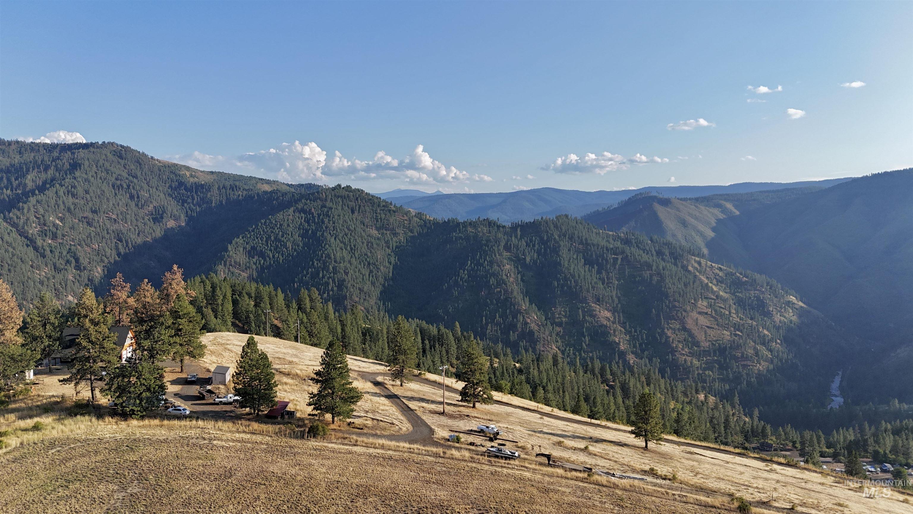 929 Mt Idaho Grade Road Grangeville, ID 83530 - Photo 43 of 47 View of mountain backdrop featuring a heavily wooded area