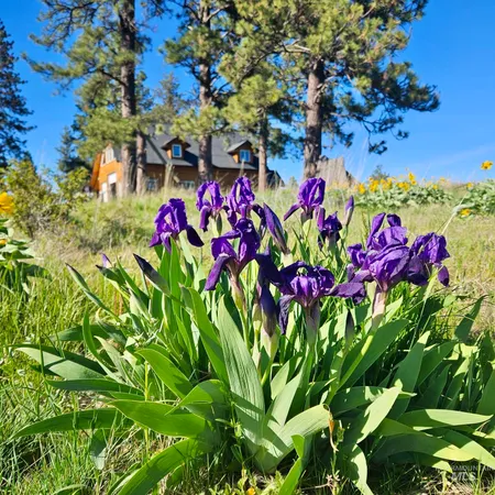 $885,000 | 929 Mt Idaho Grade Road, Grangeville, ID 83530