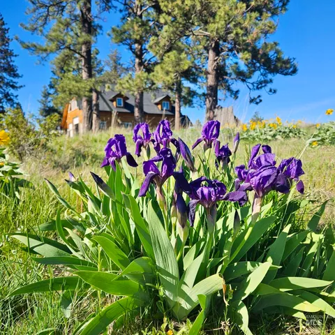 $885,000 | 929 Mt Idaho Grade Road, Grangeville, ID 83530