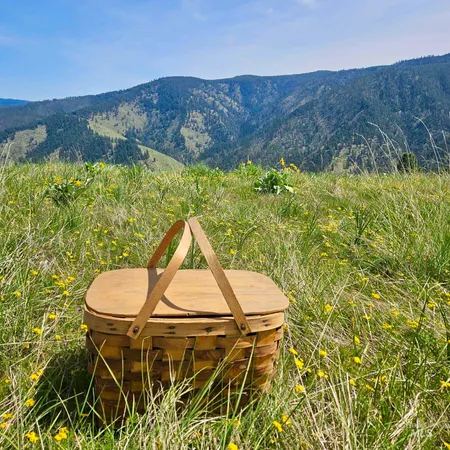 $885,000 | 929 Mt Idaho Grade Road, Grangeville, ID 83530