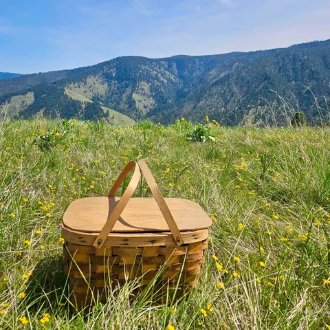 $885,000 | 929 Mt Idaho Grade Road, Grangeville, ID 83530