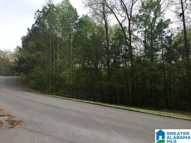 0 Quail Ridge Road, Unit 1 Oneonta, AL 35121 - Photo 13 of 18