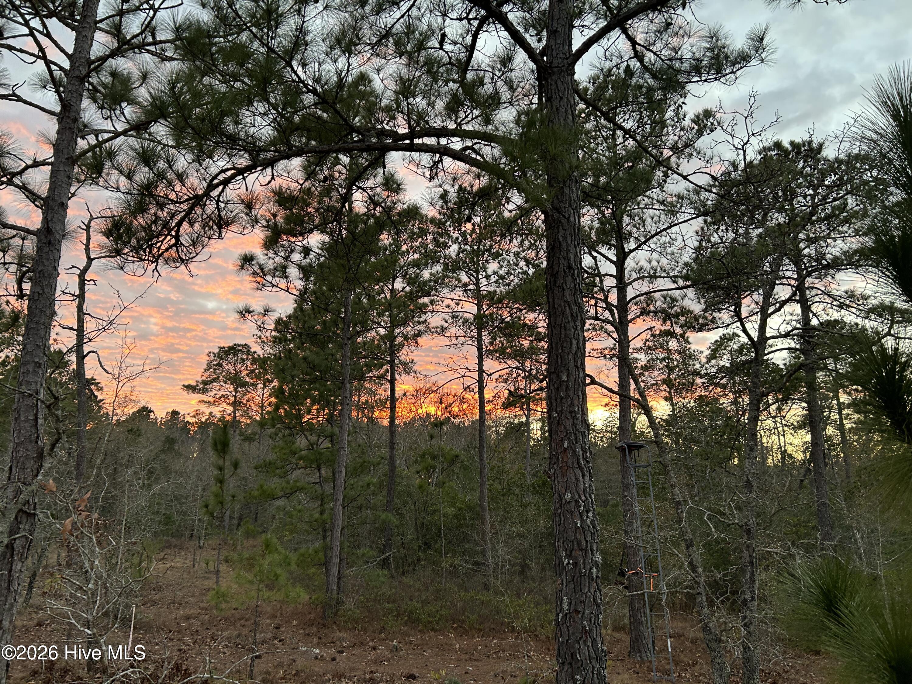 0 Sand Ridge Road Hubert, NC 28539 - Photo 2 of 6 Gallery Image 2