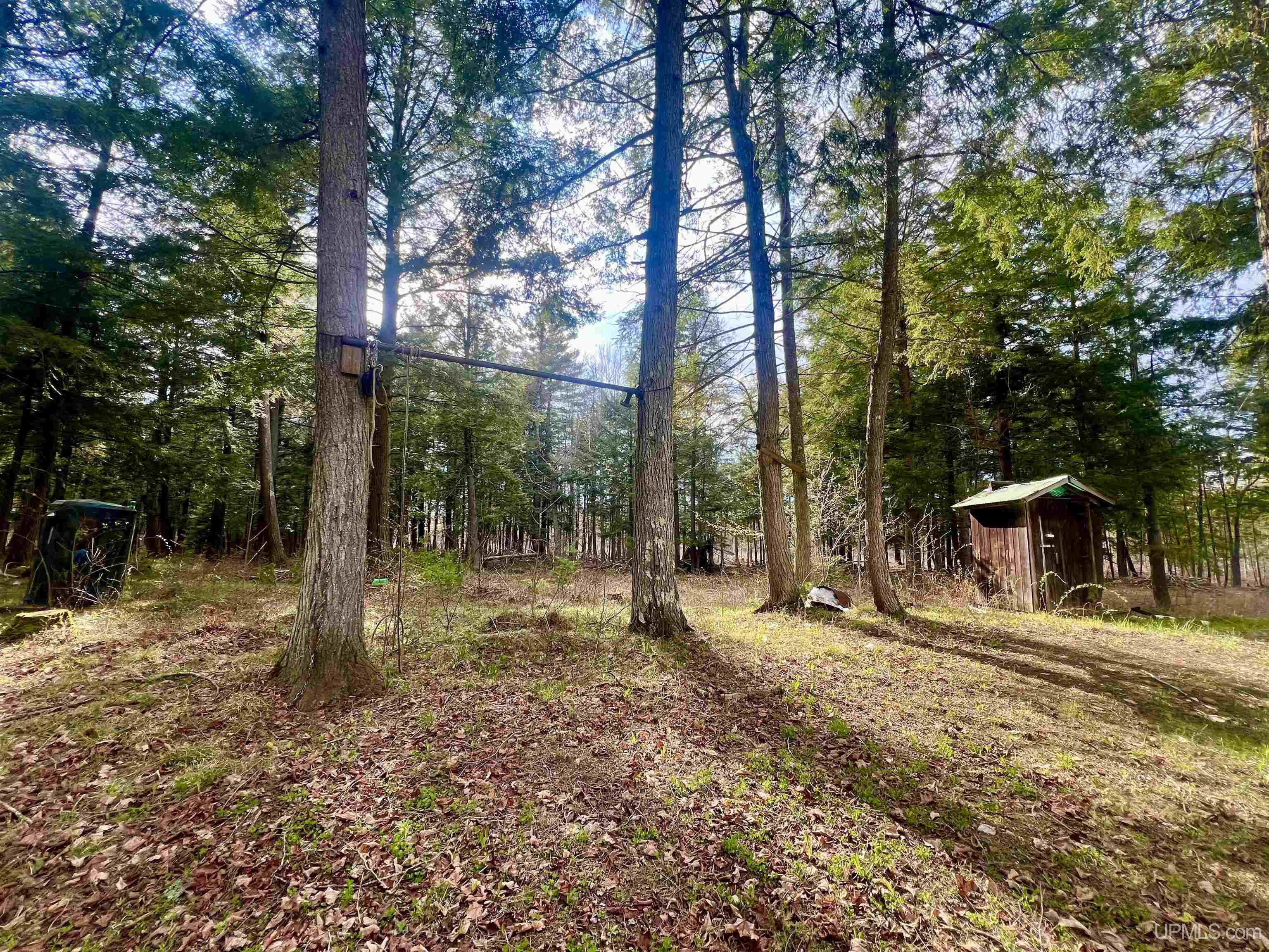1033 D Road Bark River, MI 49807 - Photo 12 of 13