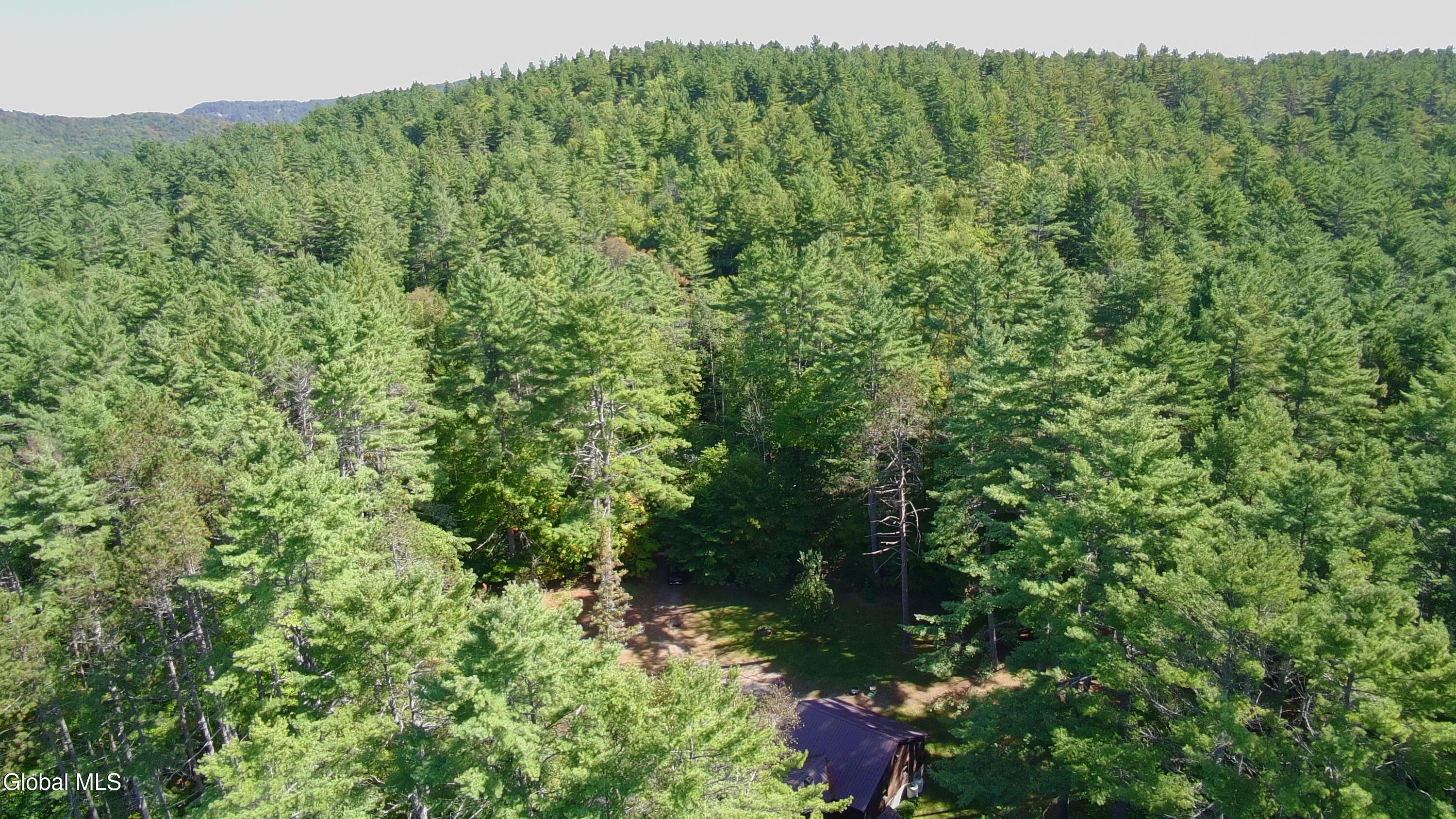 307 Stone Bridge Road Pottersville, NY 12860 - Photo 47 of 51 54