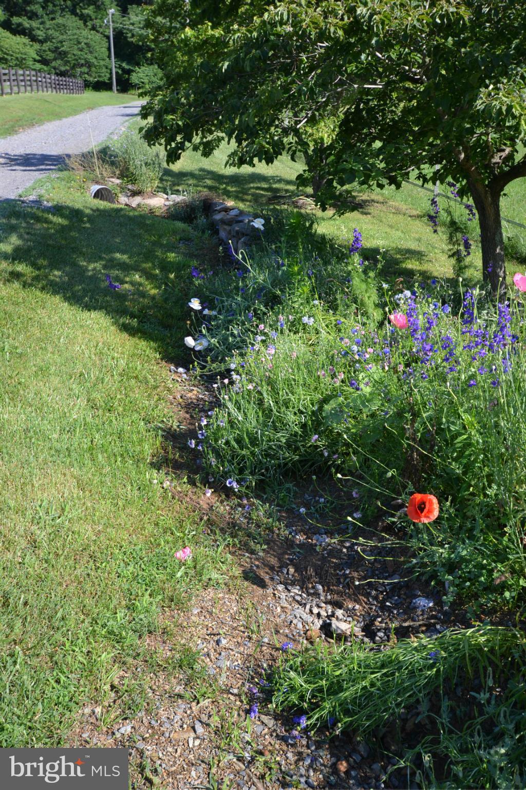 18601 Bluejay Way Rixeyville, VA 22737 - Photo 22 of 30 Lovely gardens