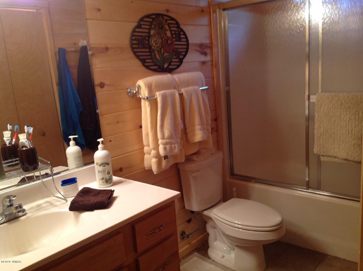 2758 Elk Trl Road Overgaard, AZ 85933 - Photo 15 of 29