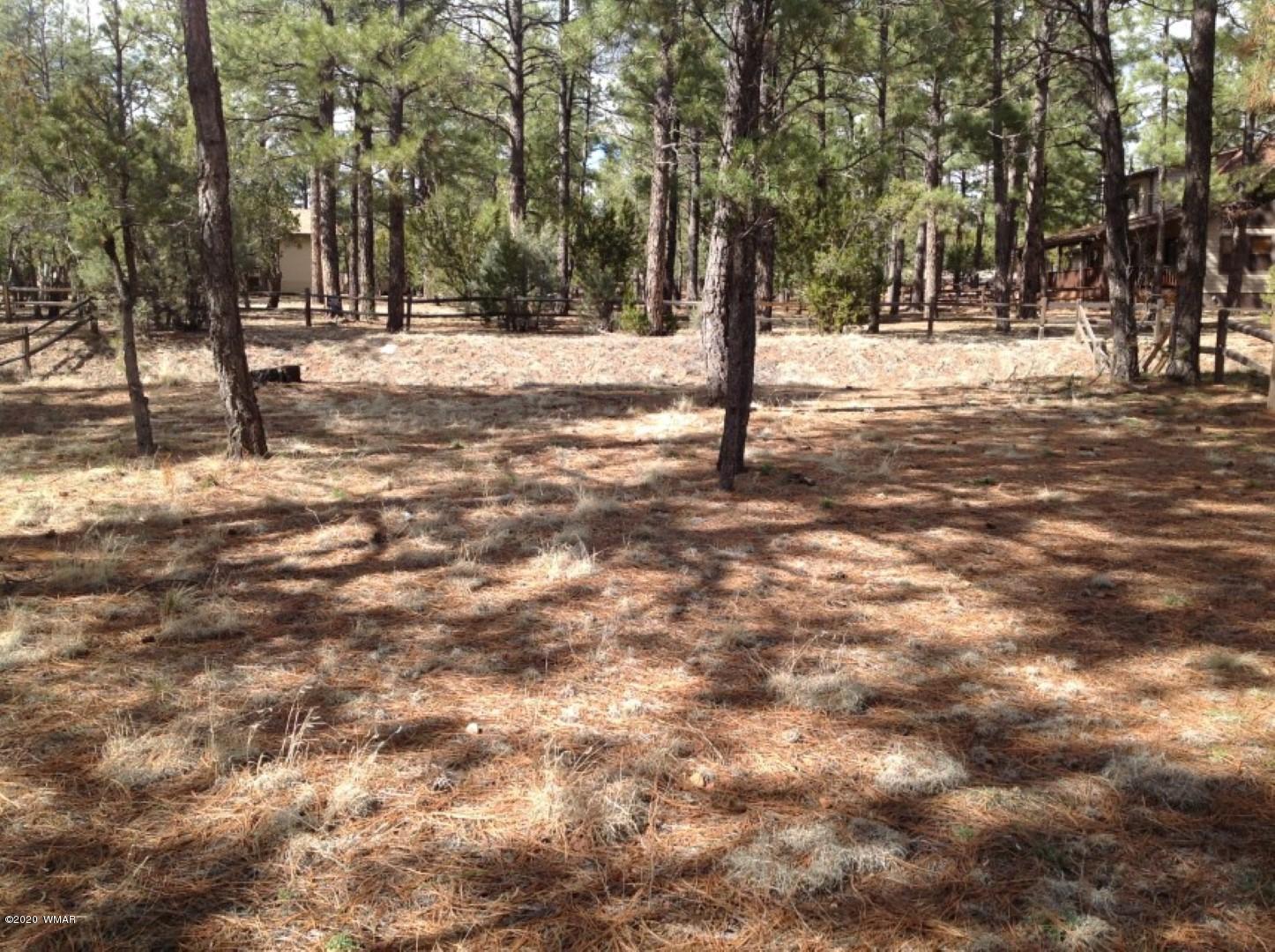 2758 Elk Trl Road Overgaard, AZ 85933 - Photo 28 of 29