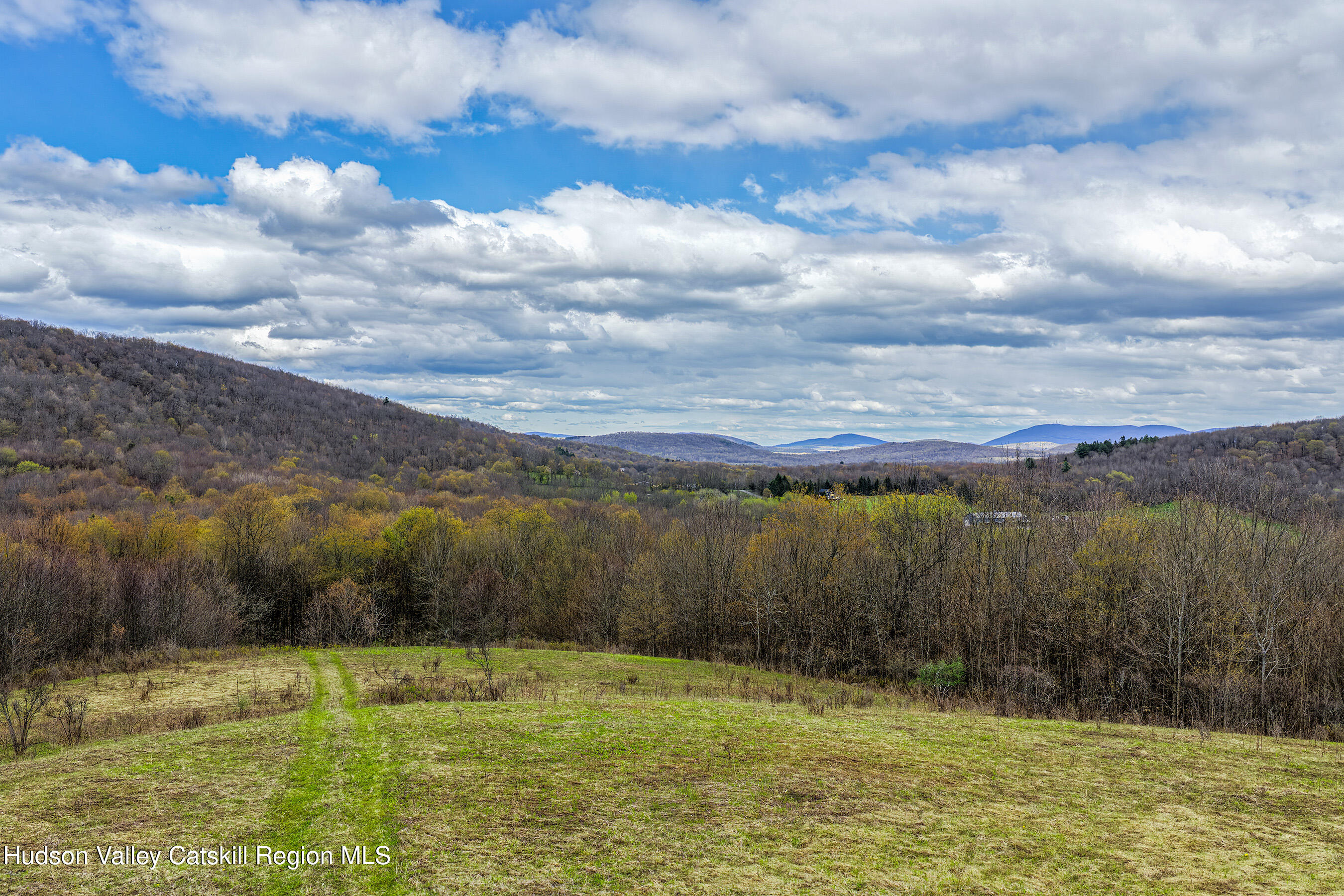 0 Brownell Road Bloomville, NY 13739 - Photo 35 of 39 23 acres Brownell Rd -- 033