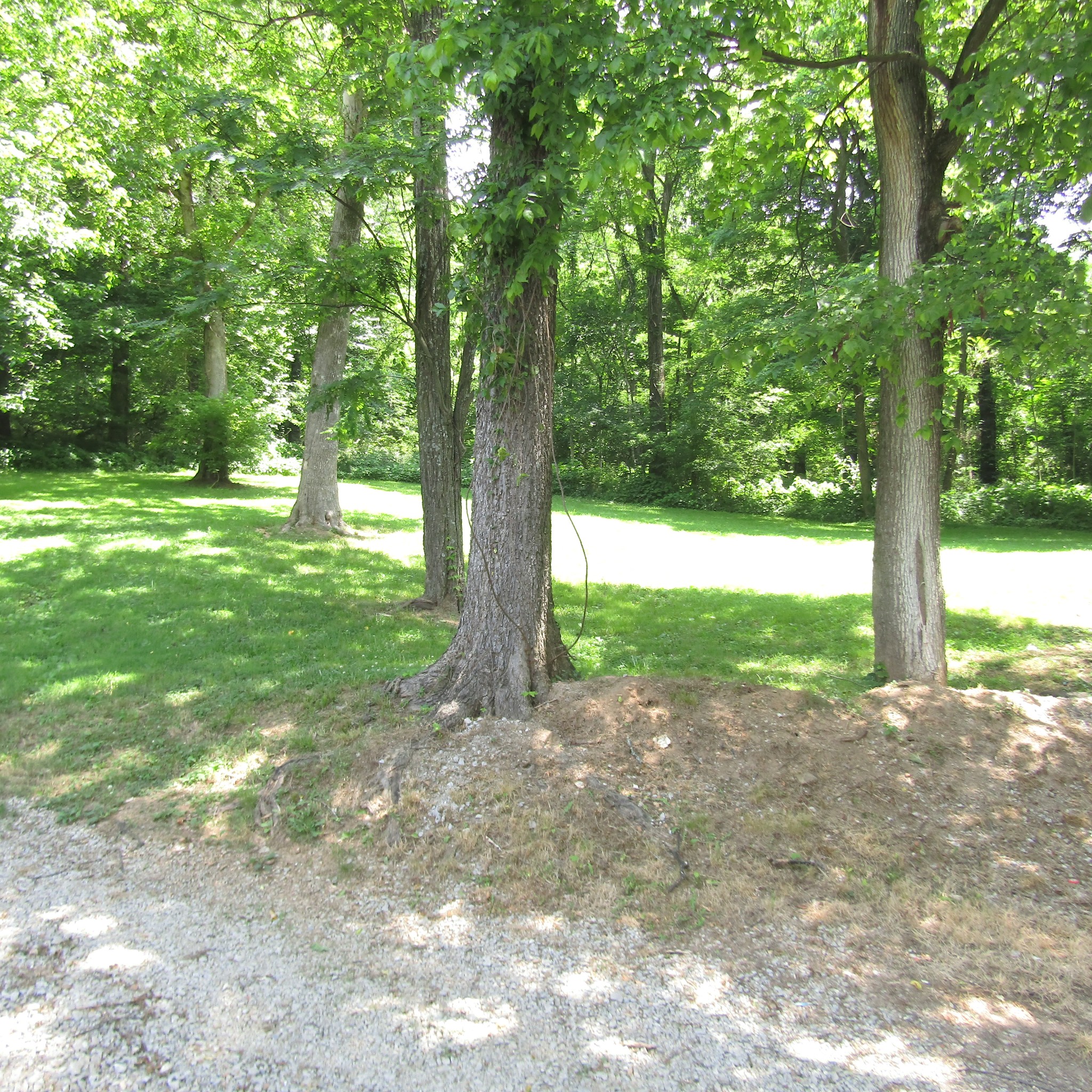 1837 Mack Benderman Road Culleoka, TN 38451 - Photo 4 of 22 Gallery Image 4
