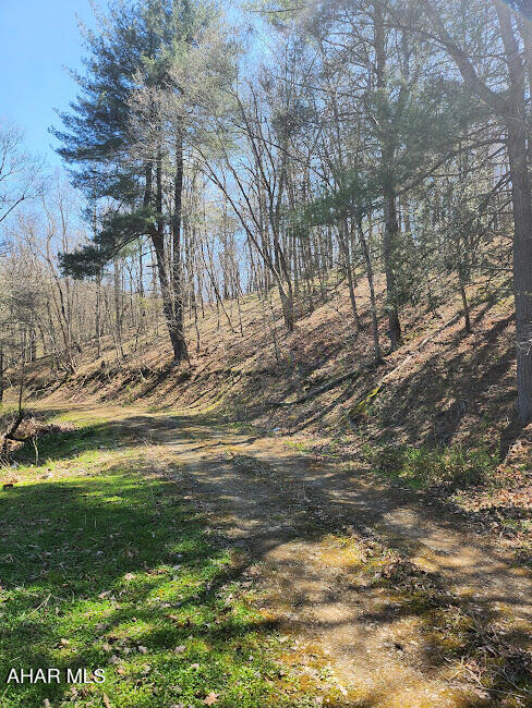 495 Ritchey Bridge Road Everett, PA 15537 - Photo 7 of 27 Gallery Image 7