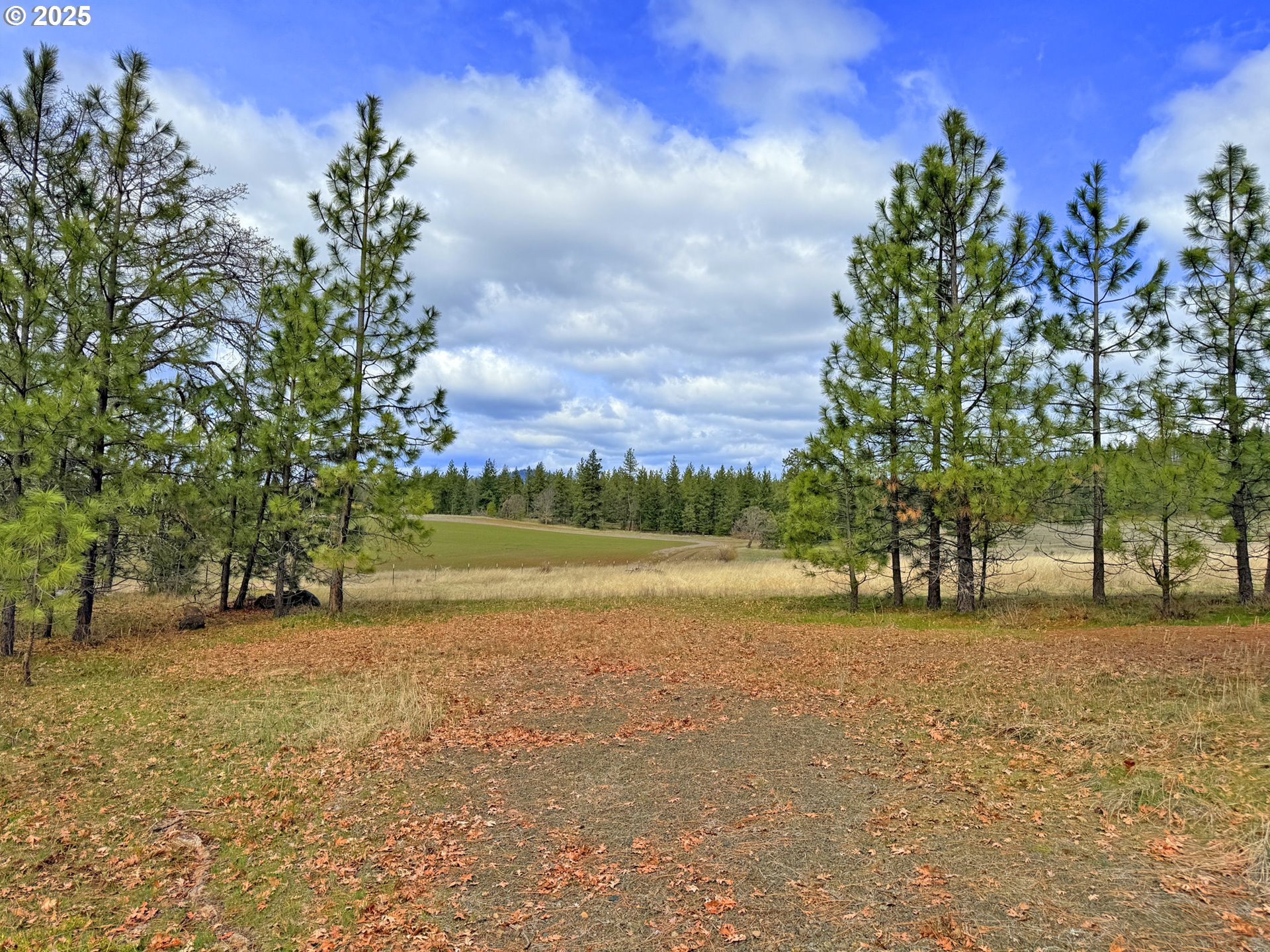 761 Pine Forest Road Goldendale, WA 98620 - Photo 13 of 26 Gallery Image 13