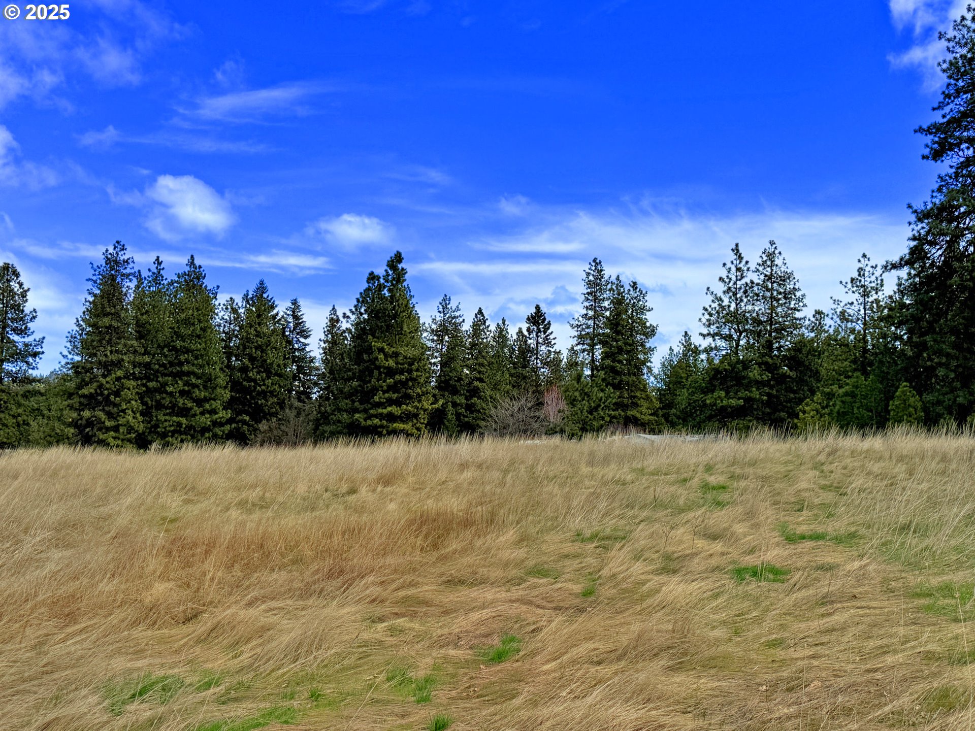 761 Pine Forest Road Goldendale, WA 98620 - Photo 20 of 26 Gallery Image 20
