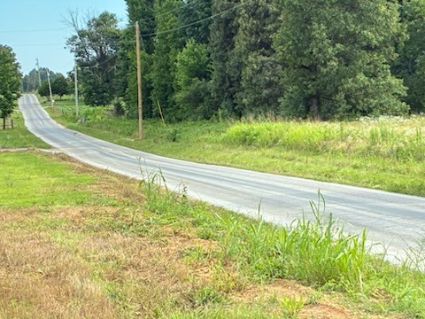 0 Rushing Road Ethridge, TN 38456 - Photo 6 of 9