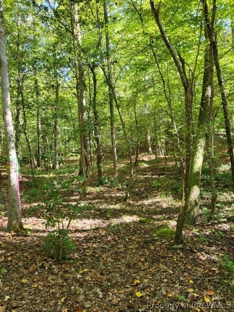 Lot C Homestead Road Lanexa, VA 23089 - Photo 1 of 18 Gallery Image 1
