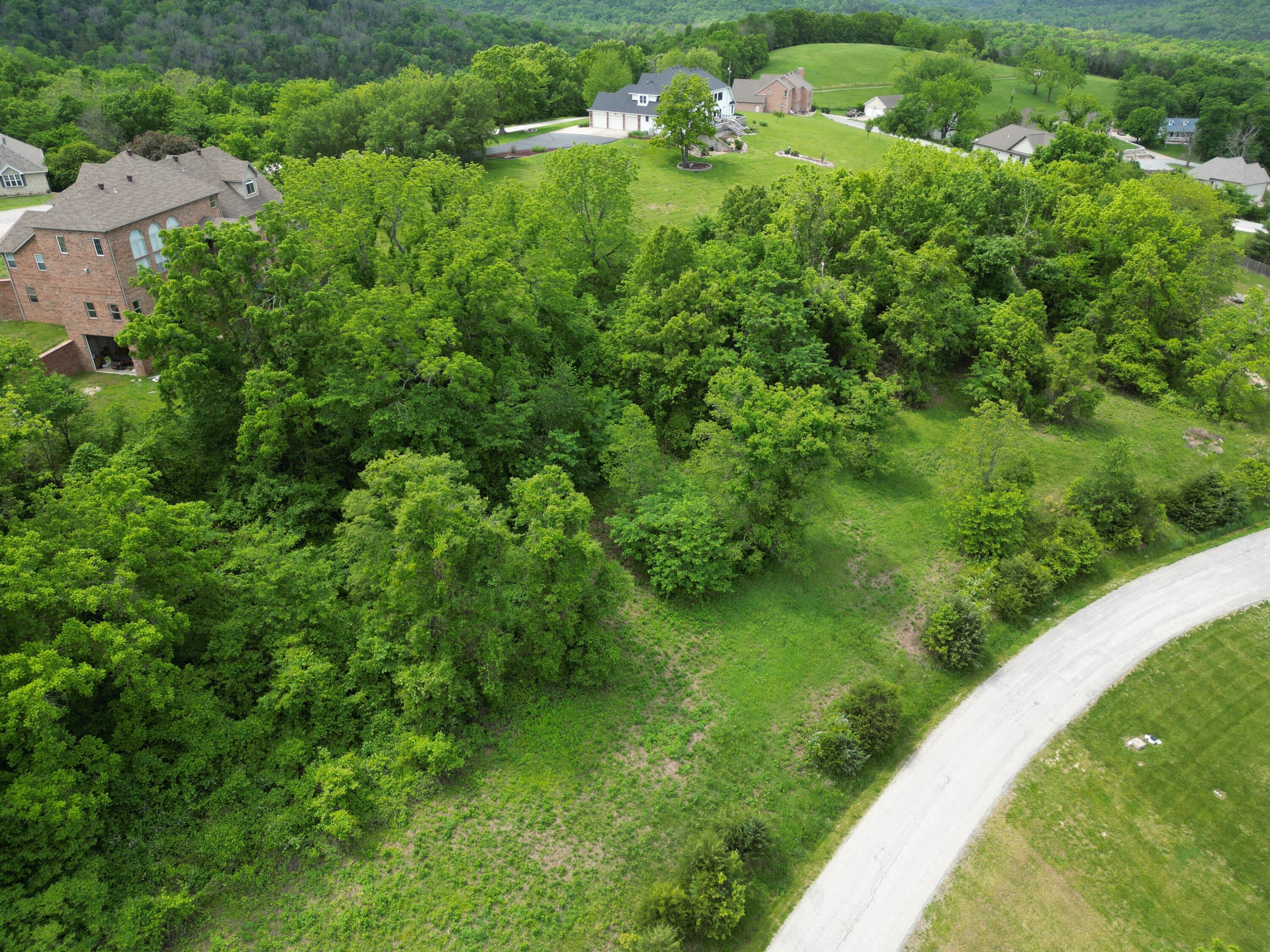 Tbd Jacks Hollow Road Walnut Shade, MO 65771 - Photo 1 of 1 Jacks Hollow