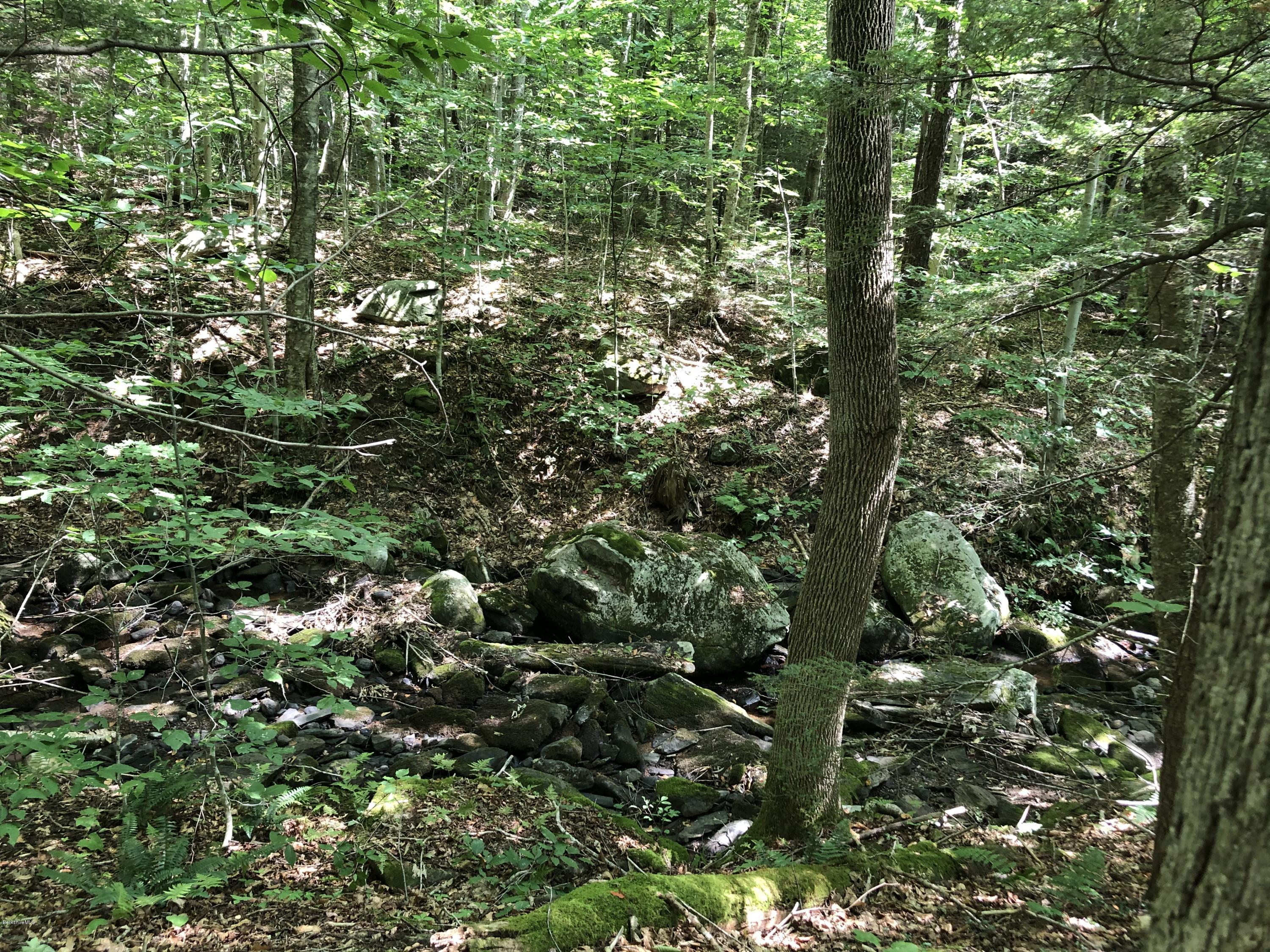 12 Brookside Road Peru, MA 01235 - Photo 3 of 8 a view of a tree