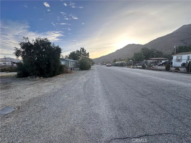 a big yard with a large tree