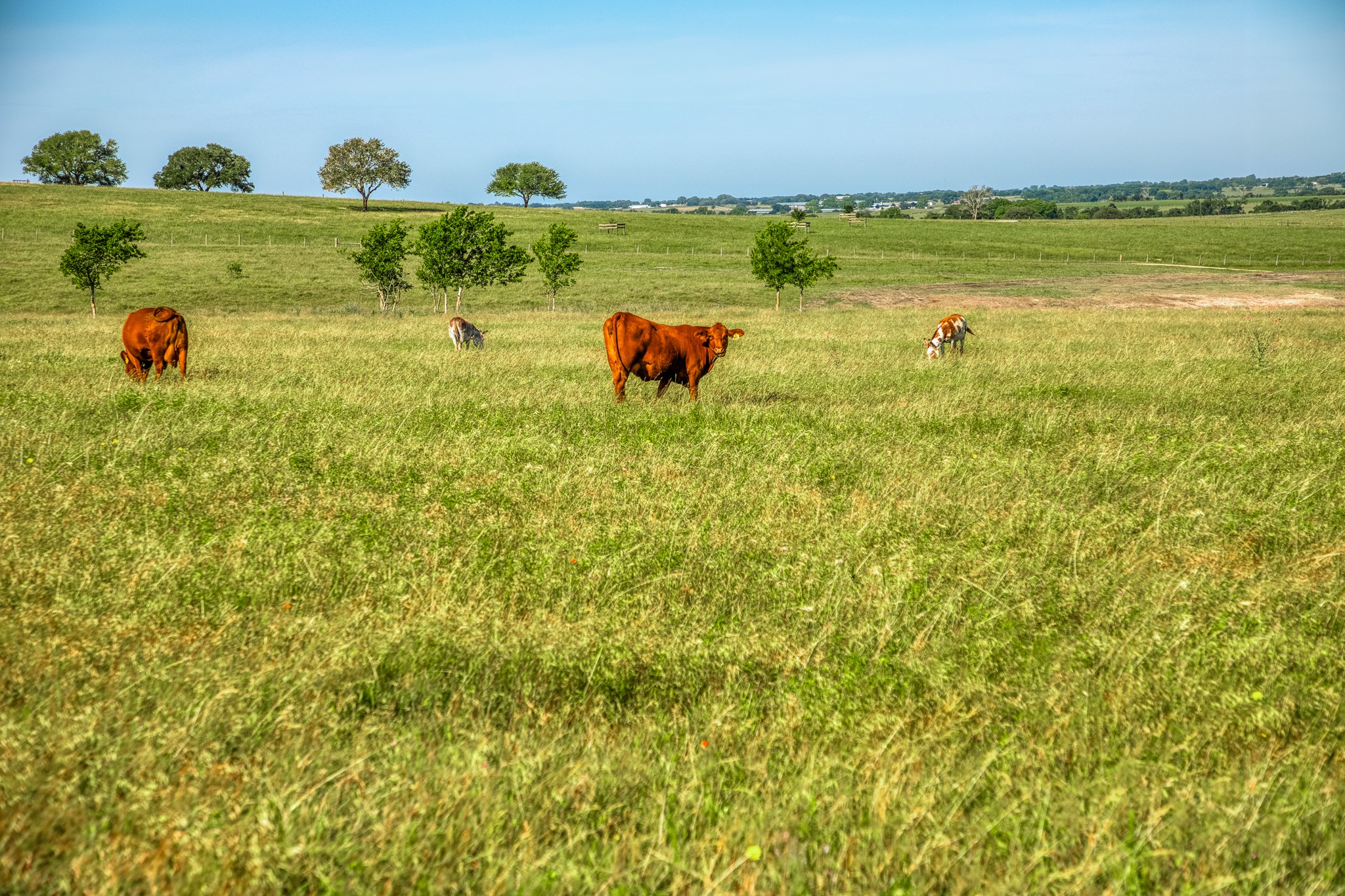 5005 Fuchs Road Burton, TX 77835 - Photo 1 of 11 a view of a lake with outdoor space
