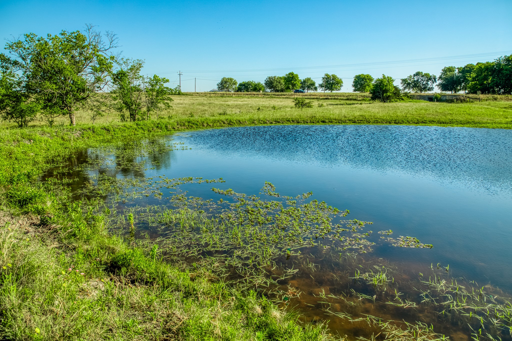 5005 Fuchs Road Burton, TX 77835 - Photo 4 of 11 a view of a lake with a yard