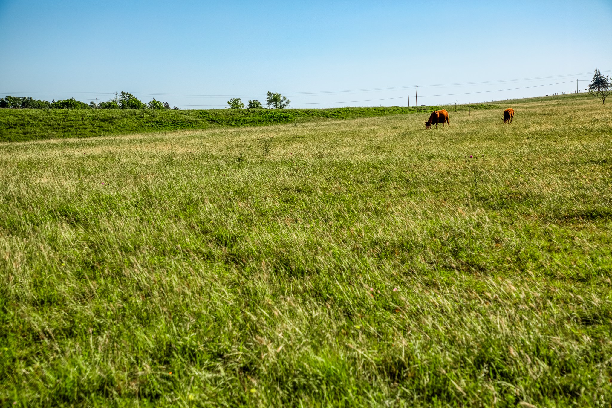 5005 Fuchs Road Burton, TX 77835 - Photo 5 of 11 a view of an ocean
