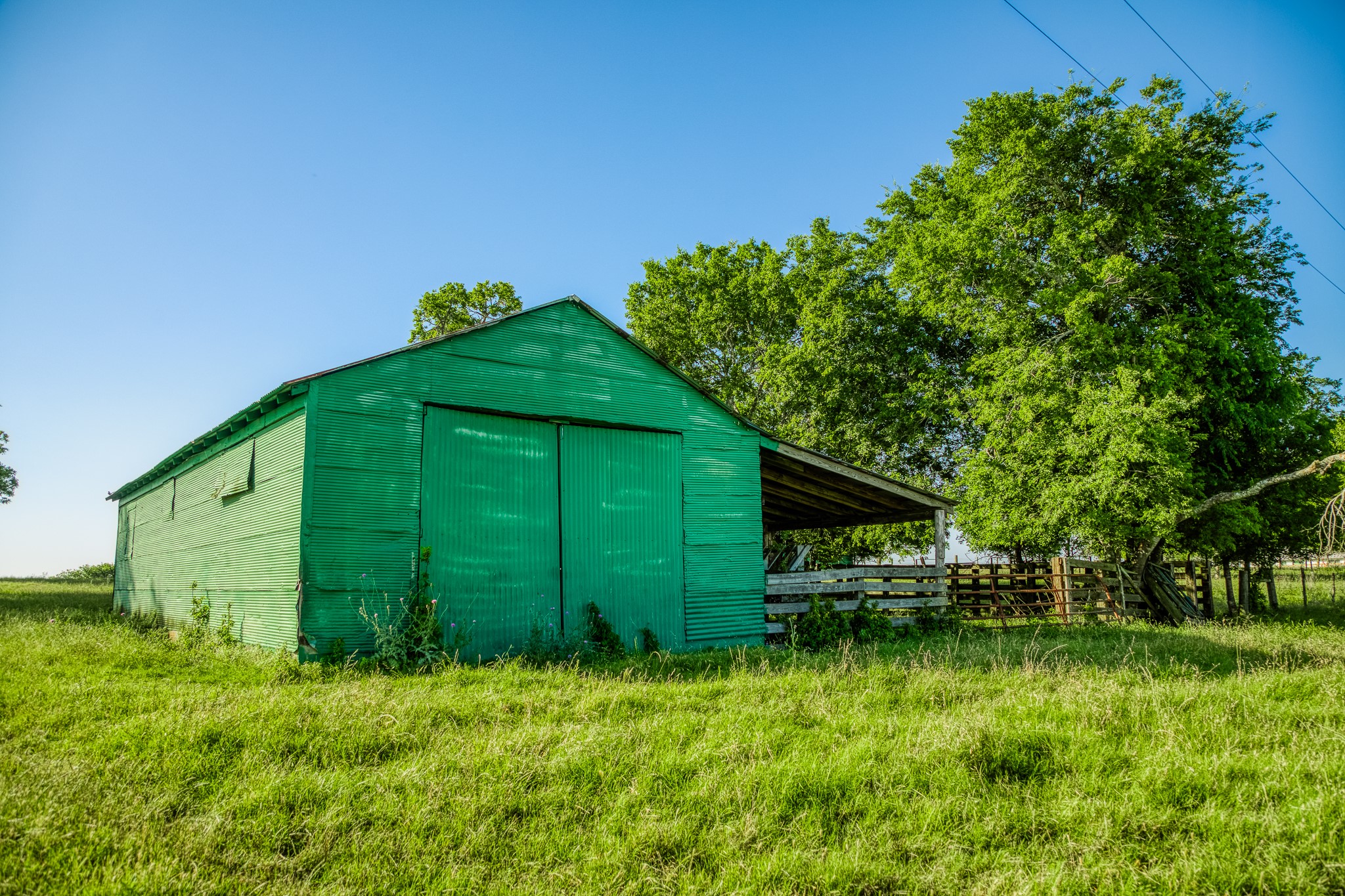 5005 Fuchs Road Burton, TX 77835 - Photo 9 of 11 a backyard of a house with lots of green space