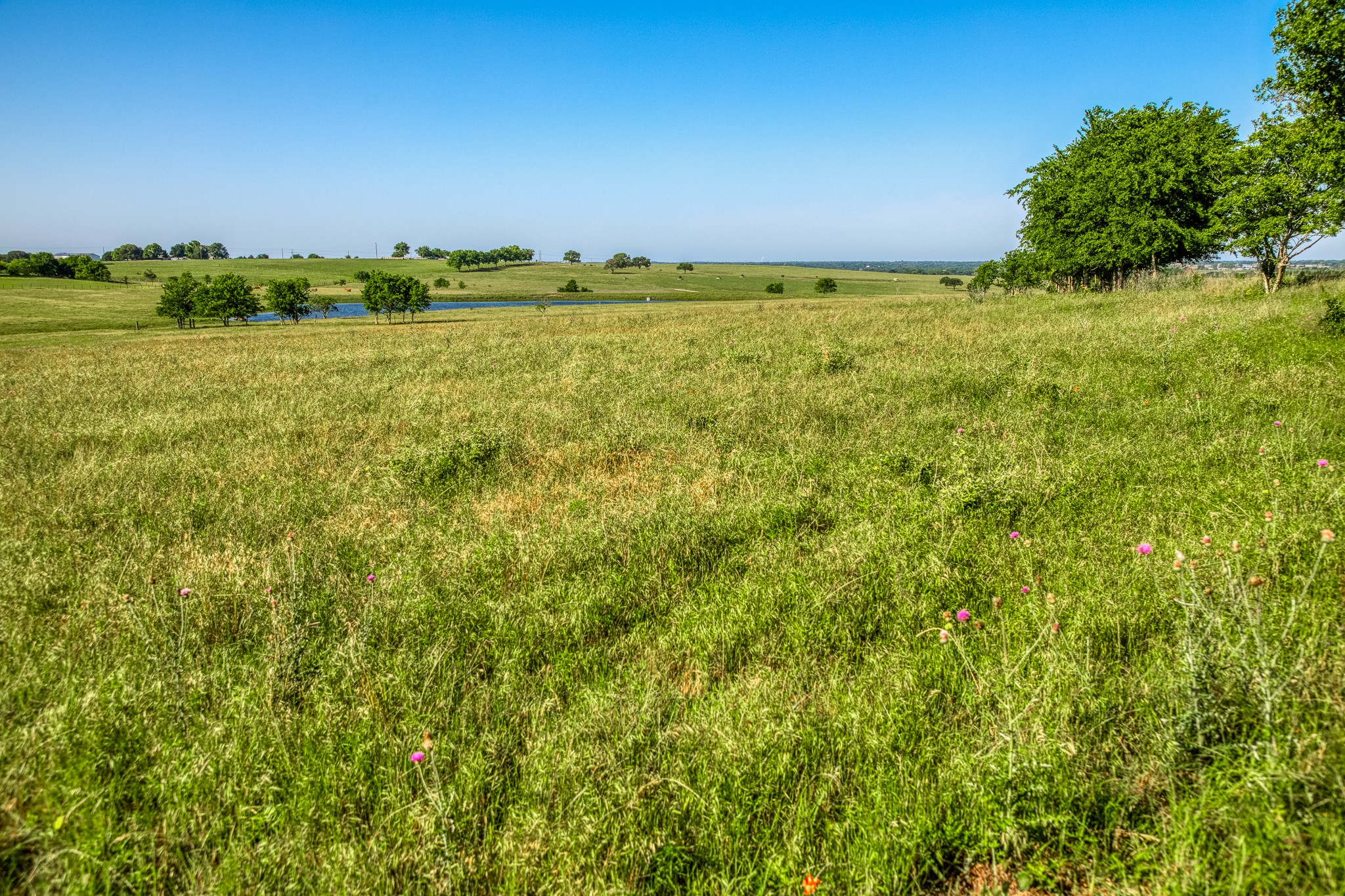 5005 Fuchs Road Burton, TX 77835 - Photo 10 of 11 a view of a green field with lots of trees in the background