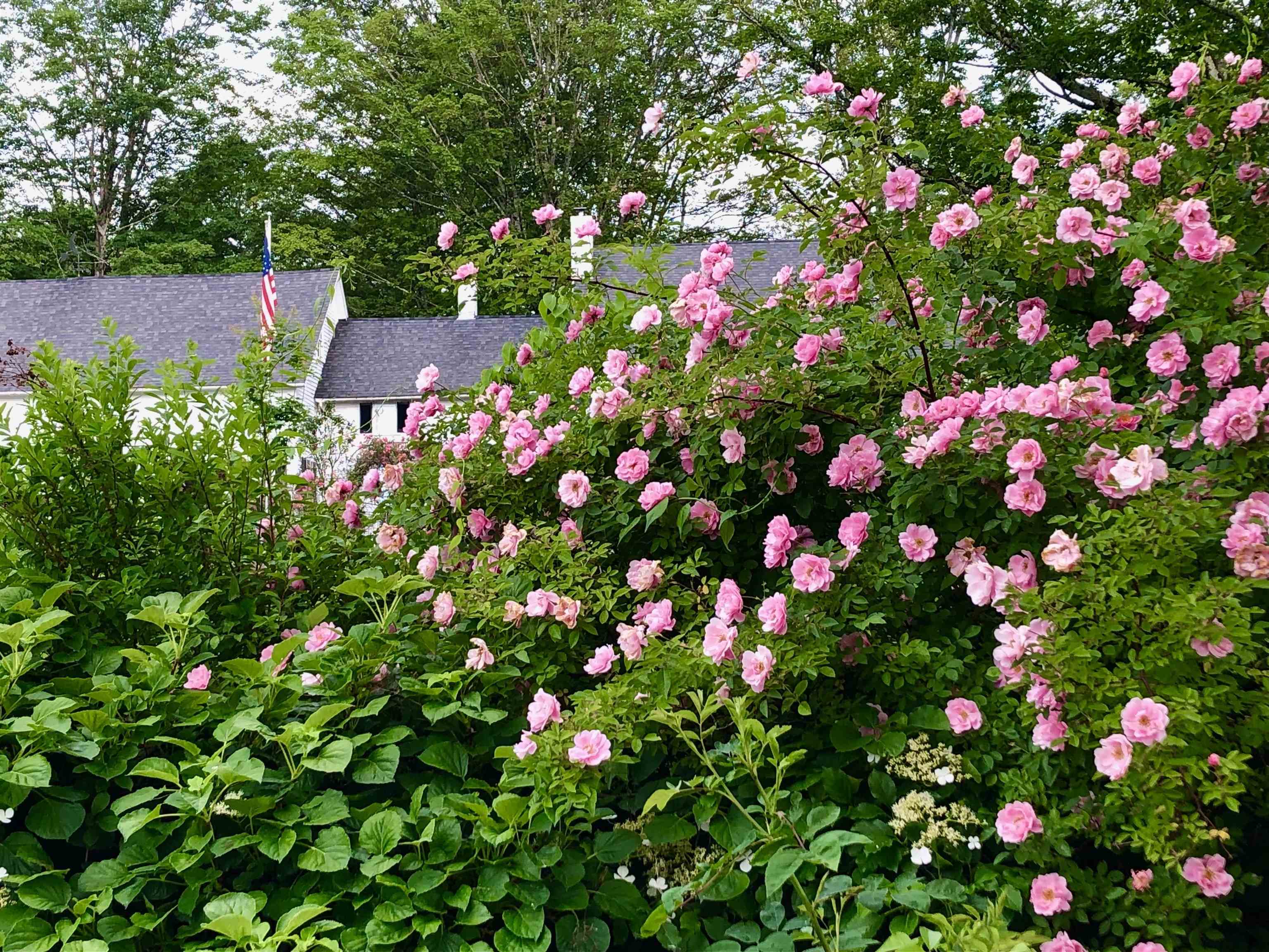 2381 East Washington Road Washington, NH 03280 - Photo 2 of 53