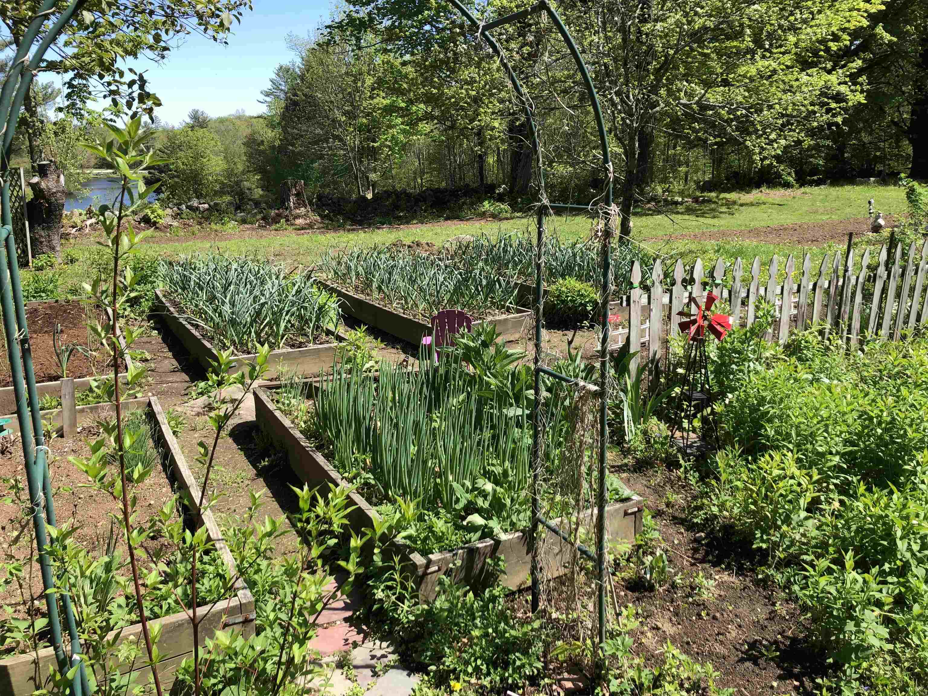 2381 East Washington Road Washington, NH 03280 - Photo 6 of 53