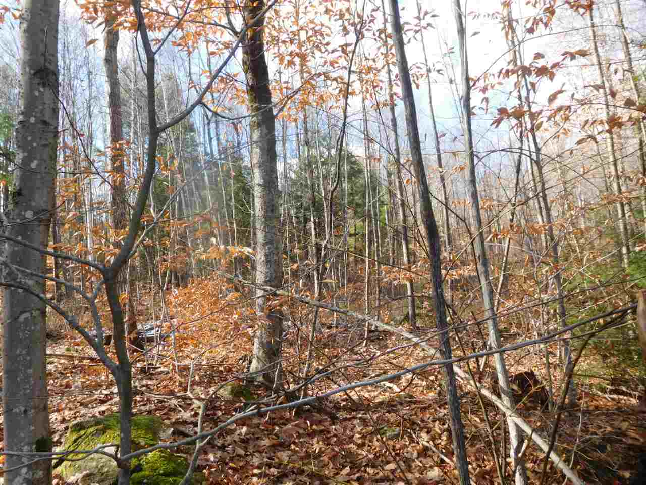 -ff Mutton Road Webster, NH 03303 - Photo 8 of 14 Gallery Image 8