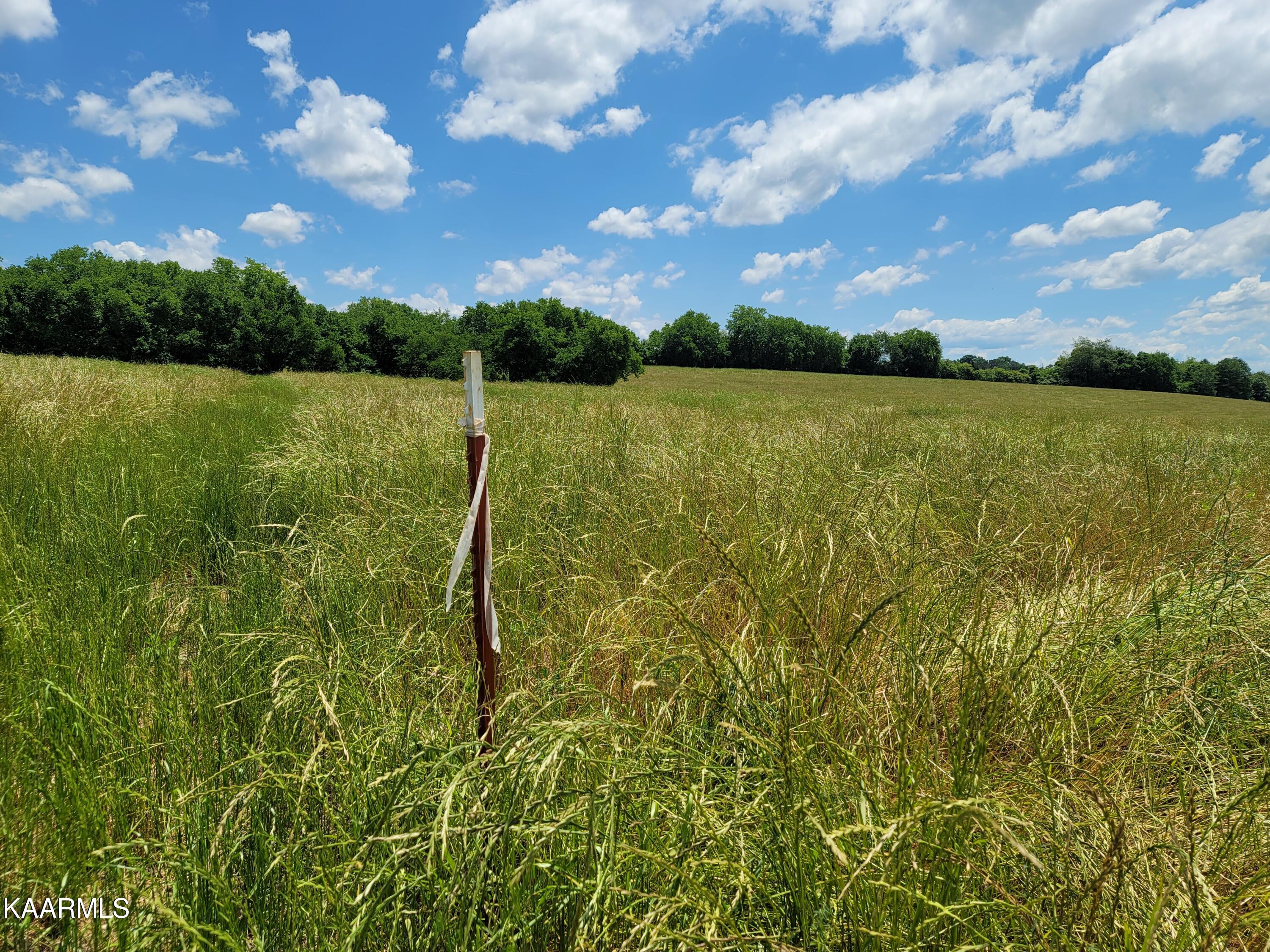 13076 Unitia Road Friendsville, TN 37737 - Photo 3 of 5 Pin